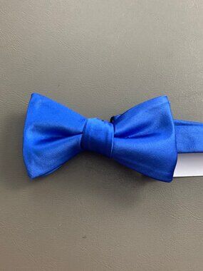 Tayion by Montee Holland Men's Polyester Pre-Tied Bow Tie, Blue, One Size